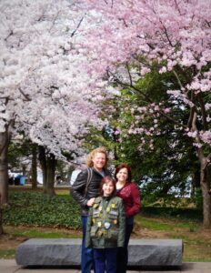cherrytreesDC