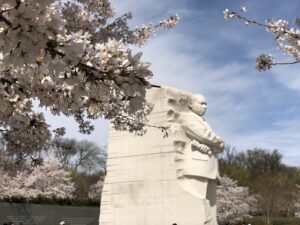 mlk