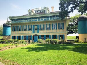 plantations2